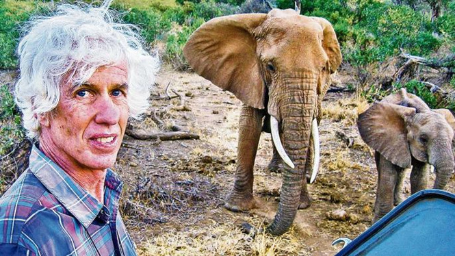  Nhà điều tra buôn lậu ngà voi nổi tiếng bị sát hại ở Kenya