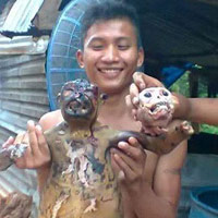  Giết voọc dã man: Triệu tập các quân nhân