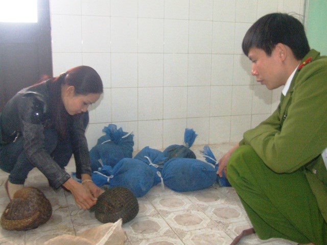  Hà Tĩnh: Bắt vụ vận chuyển 9 cá thể tê tê