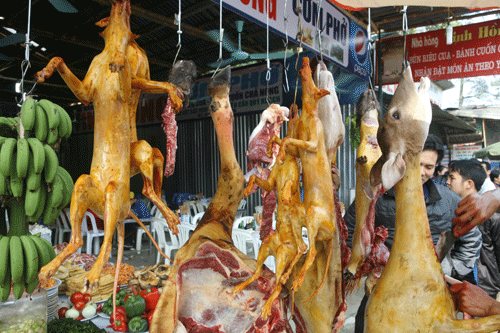  Nghịch lý: Ban tổ chức lễ hội chùa Hương treo thịt thú rừng là phản cảm nhưng rất khó xử lí