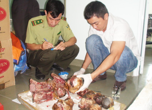  Đồng Nai: Khởi tố vụ mua bán, vận chuyển trái phép ĐVHD quý hiếm