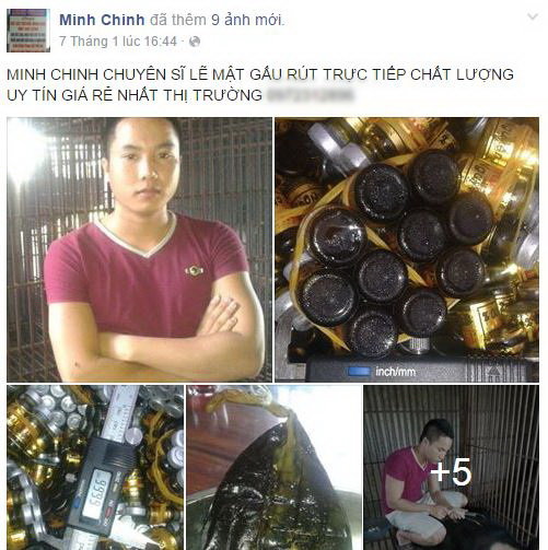  Công khai rao bán cao hổ, mật gấu, đại bàng trên Facebook