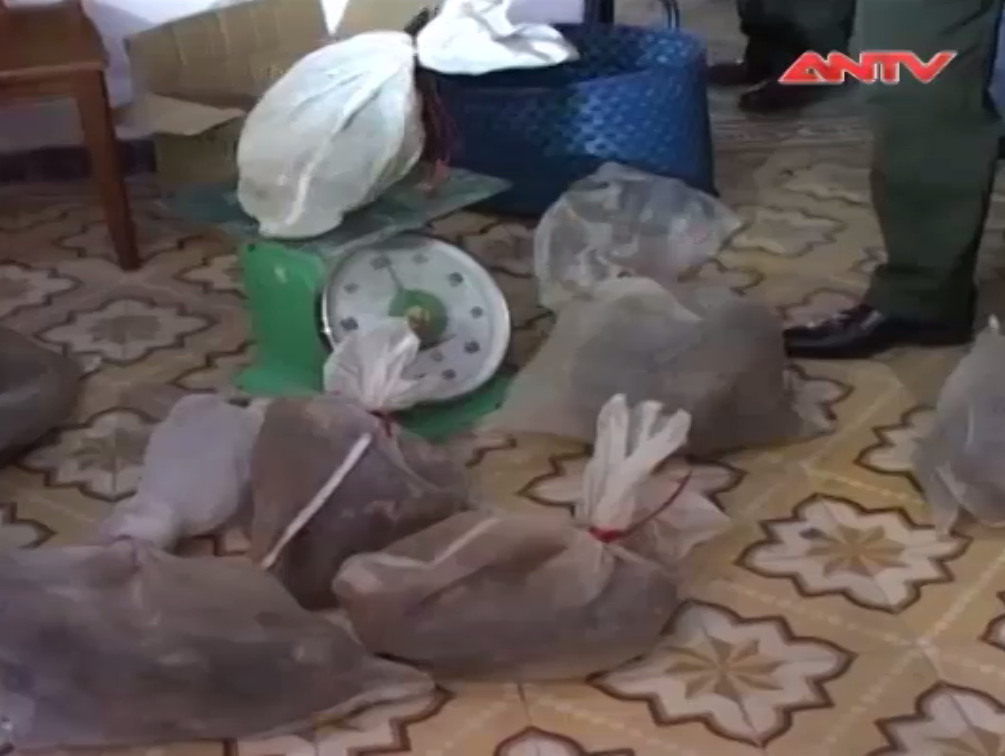  Kiểm lâm Đà Lạt thả động vật hoang dã quý hiếm