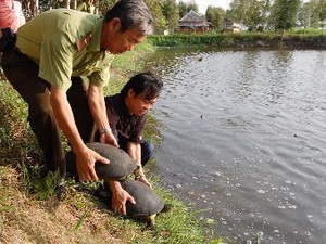  Hạn chế nạn tiêu thụ động vật hoang dã ở Việt Nam