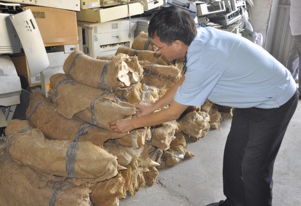 Hải Phòng: Phát hiện vụ vận chuyển ngà voi số lượng lớn