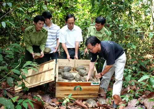  Thả hơn 210 cá thể động vật quý hiếm về thiên nhiên