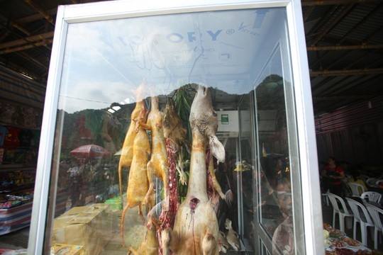  Vừa khai hội chùa Hương đã thấy cảnh thịt thú rừng phản cảm