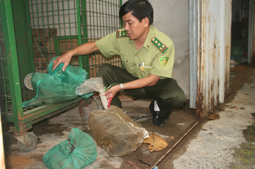  Thừa Thiên-Huế: bắt giữ gần 20 kg ĐVHD vận chuyển bằng xe máy