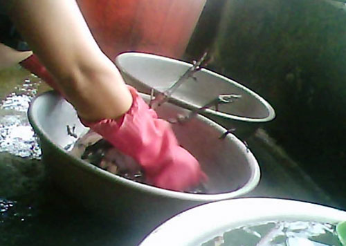  Tràn lan thịt rừng trong quán nhậu